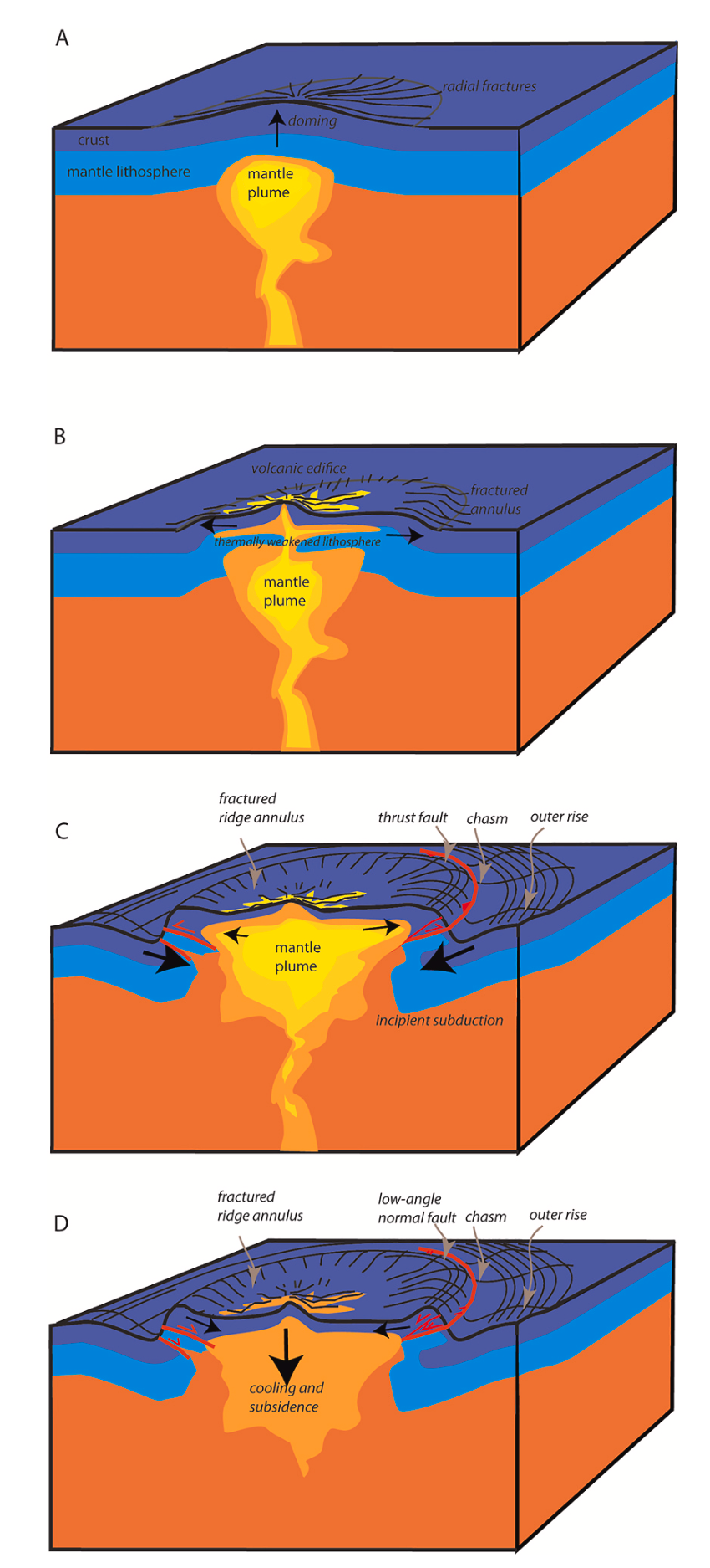 Coronae structure and low-angle faults